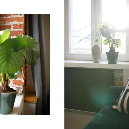 Apartament Piotrkowska 67