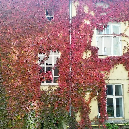 Apartament Piotrkowska 67 Apartment *